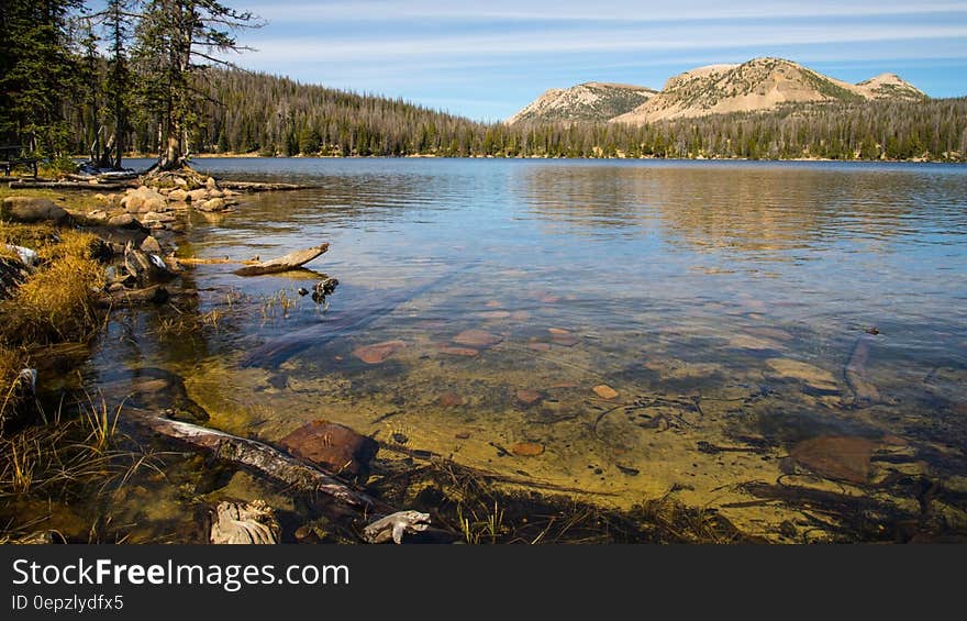 Calm Water With Green Trees on Side and Overlooking Mountain Hill Under White Blue Sky during Daytime