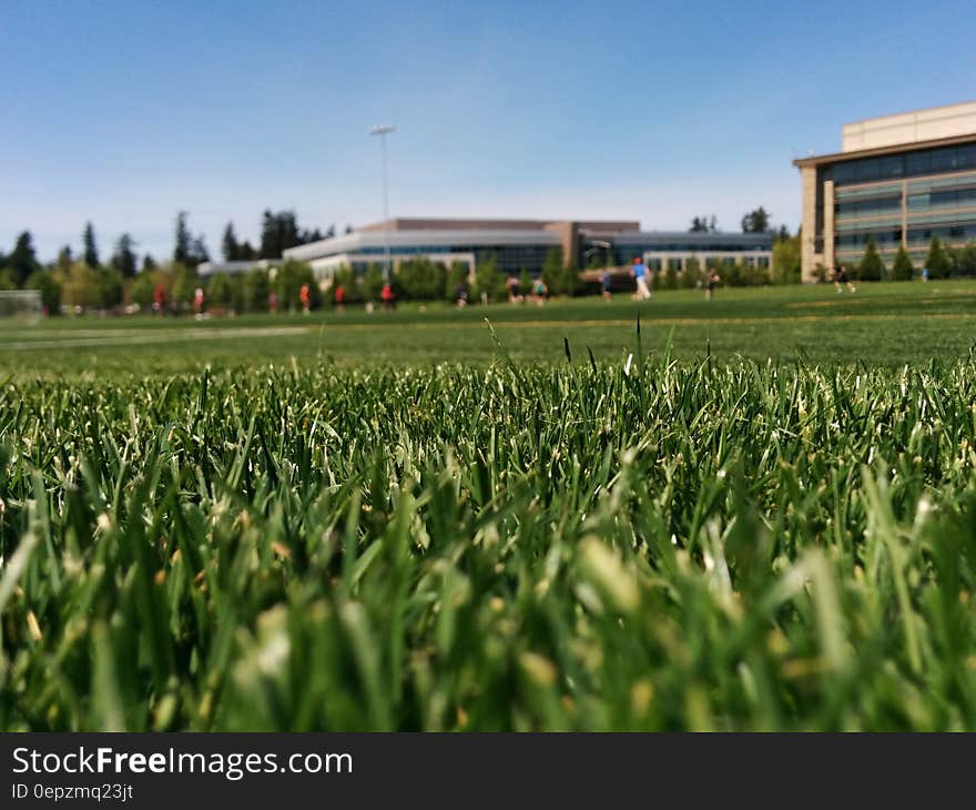 Field of green grass outside modern buildings. Field of green grass outside modern buildings.