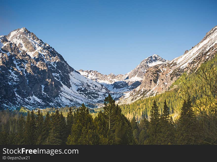 Mountain With Snow and Trees