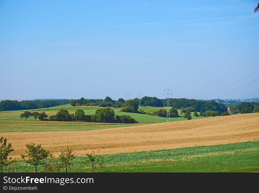 Brown Sand Dunes Surrounded by Green Grass Under the Blue Sky