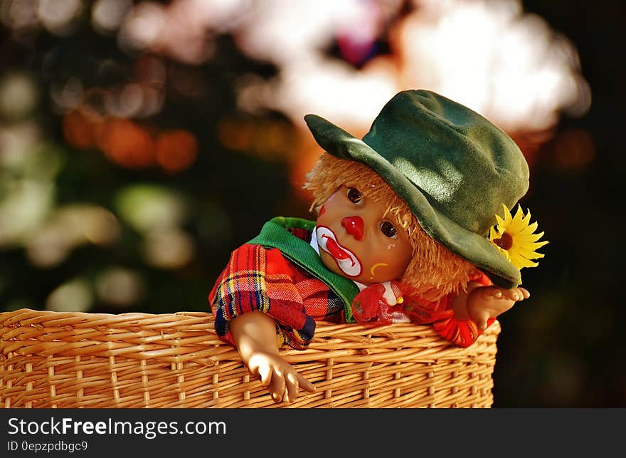 Baby Wearing Green Hat and Red Black and Yellow Plaid Top Inside Brown Wicker Basket