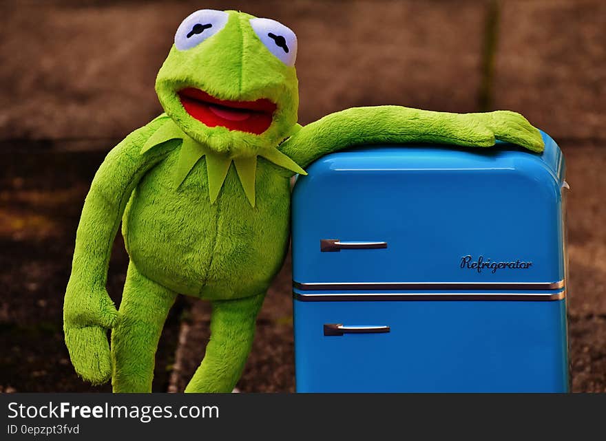 Kermit the Frog Plush Toy