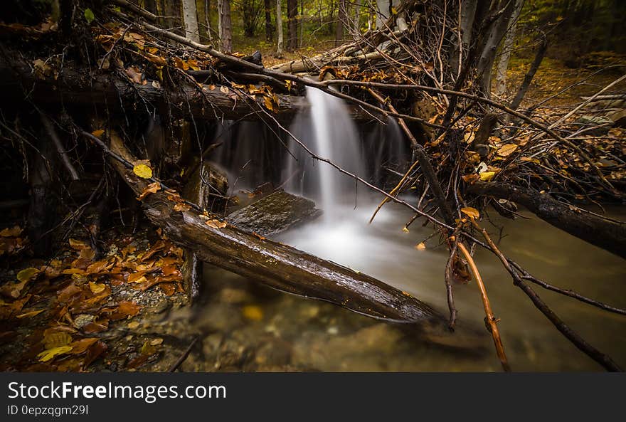 Time Lapse Photography of Falls Surrounded by Trees