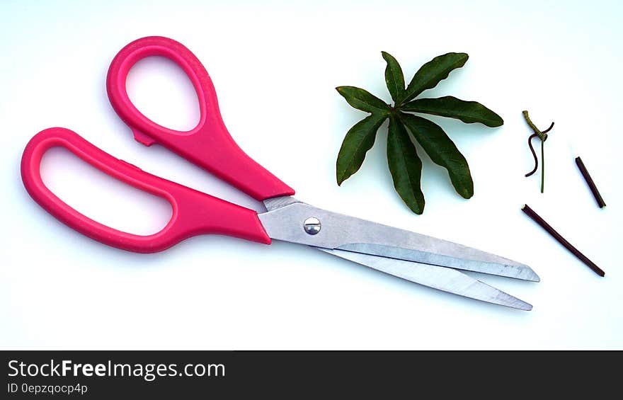 Red Scissors Near Green Leaf