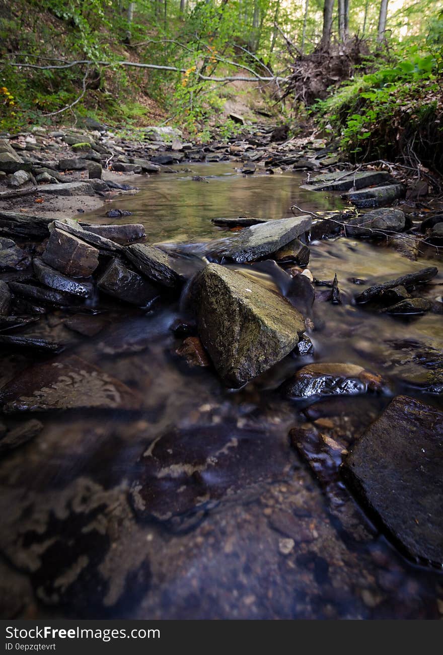 Time Lapse Photo of Stream on Green Forest