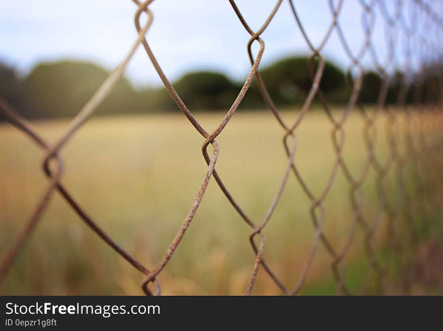 Close up of metal mesh fence on sunny day. Close up of metal mesh fence on sunny day.