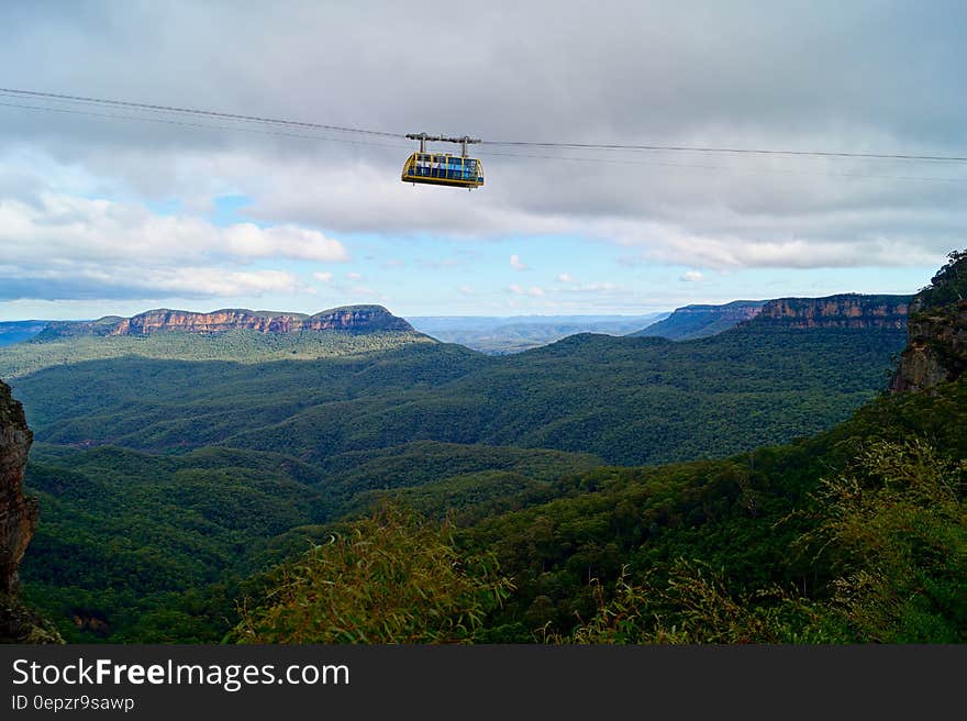 White Zip Line Bus Above on Green Leaved Trees