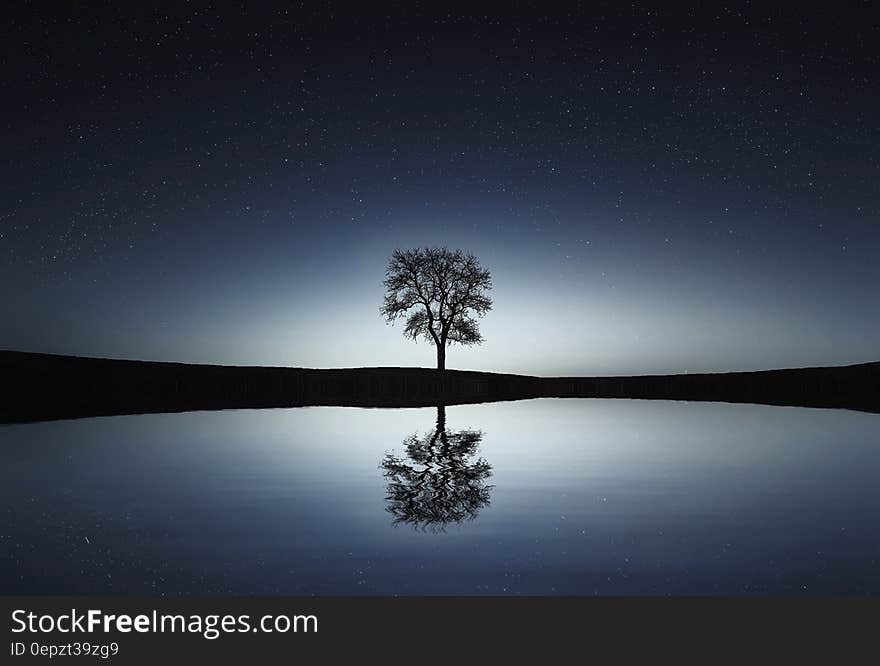 Tree on hillside reflecting in still waters at night. Tree on hillside reflecting in still waters at night.