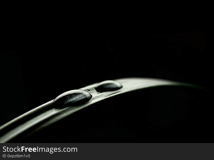 Close up of drops of water on leaf in black and white. Close up of drops of water on leaf in black and white.