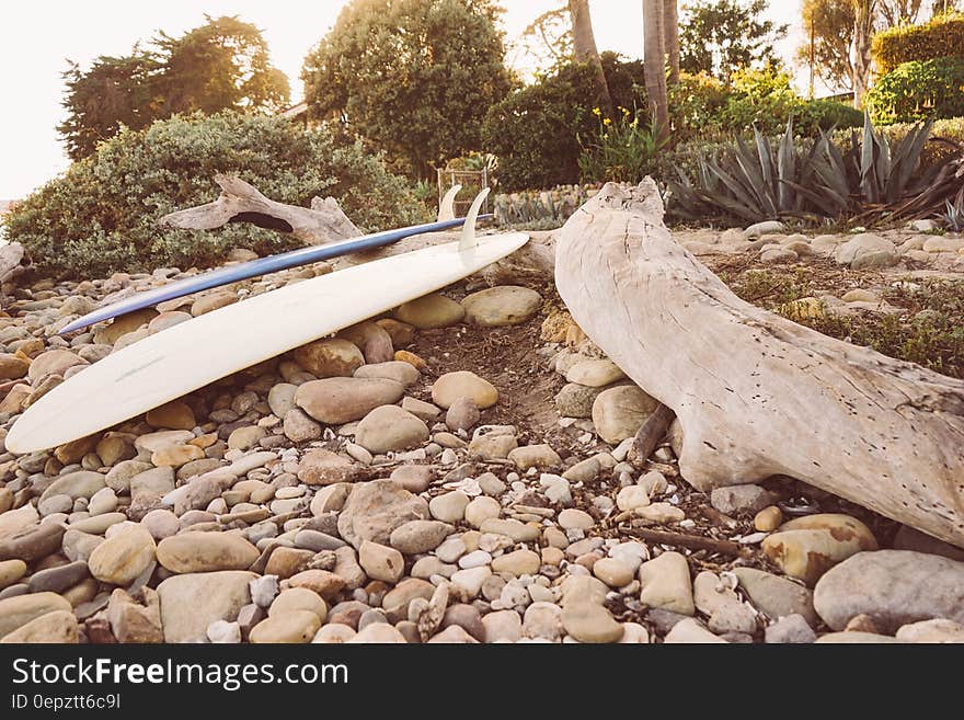 Surfboard and driftwood on rocks. Surfboard and driftwood on rocks.