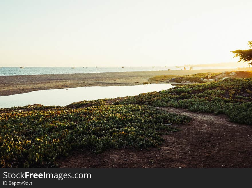 Small pond next to beach on sunny day. Small pond next to beach on sunny day.