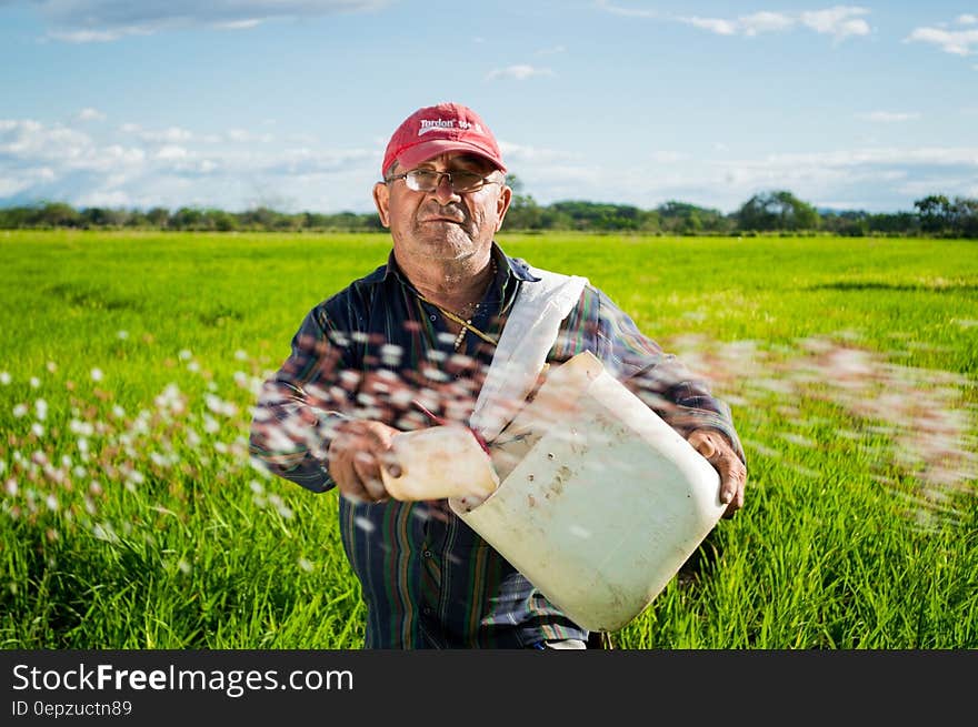 Man in Red Fitted Cap in Green High Grass during Daytime