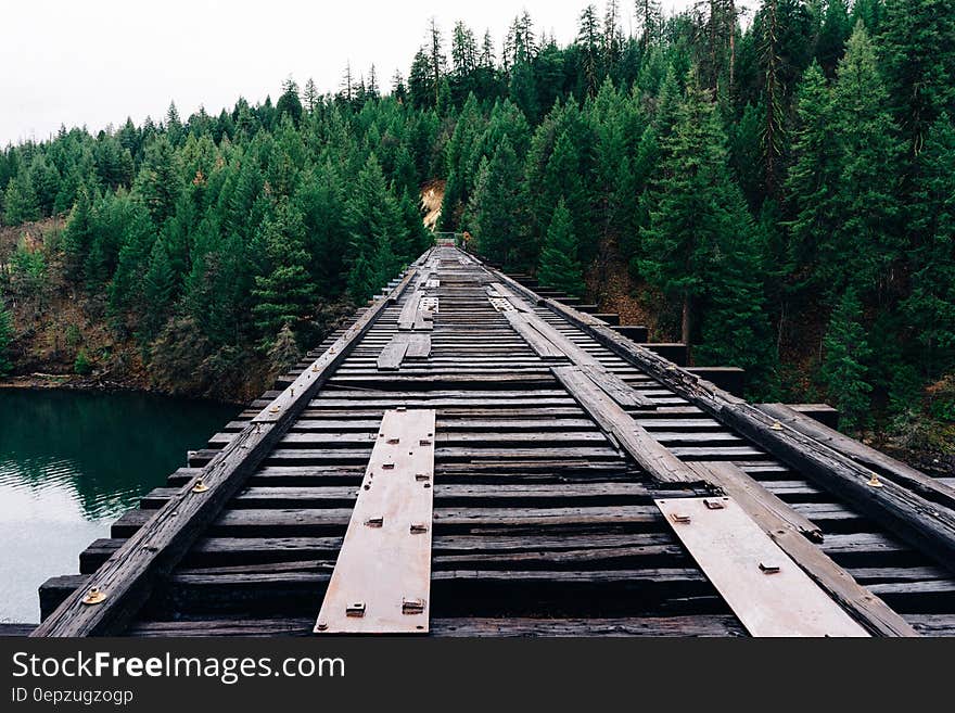 Wooden bridge over river in pine tree forest.