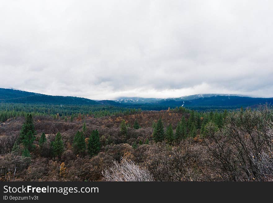 Clouds over hillside across forest tree tops. Clouds over hillside across forest tree tops.