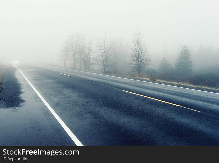 Fog over wet country road. Fog over wet country road.