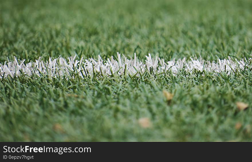 While chalk line on green grass of sports field. While chalk line on green grass of sports field.