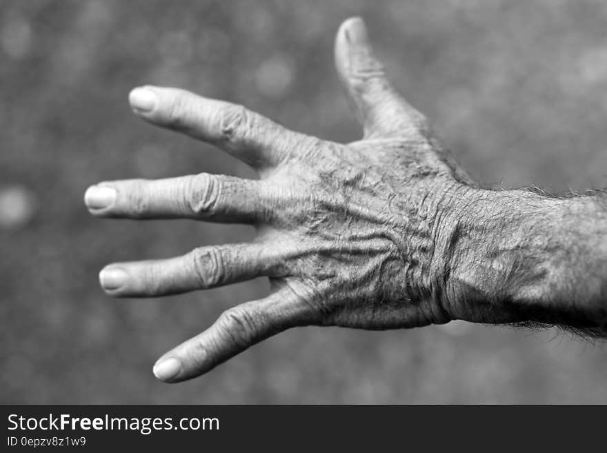 Grayscale Photo of Left Human Hand