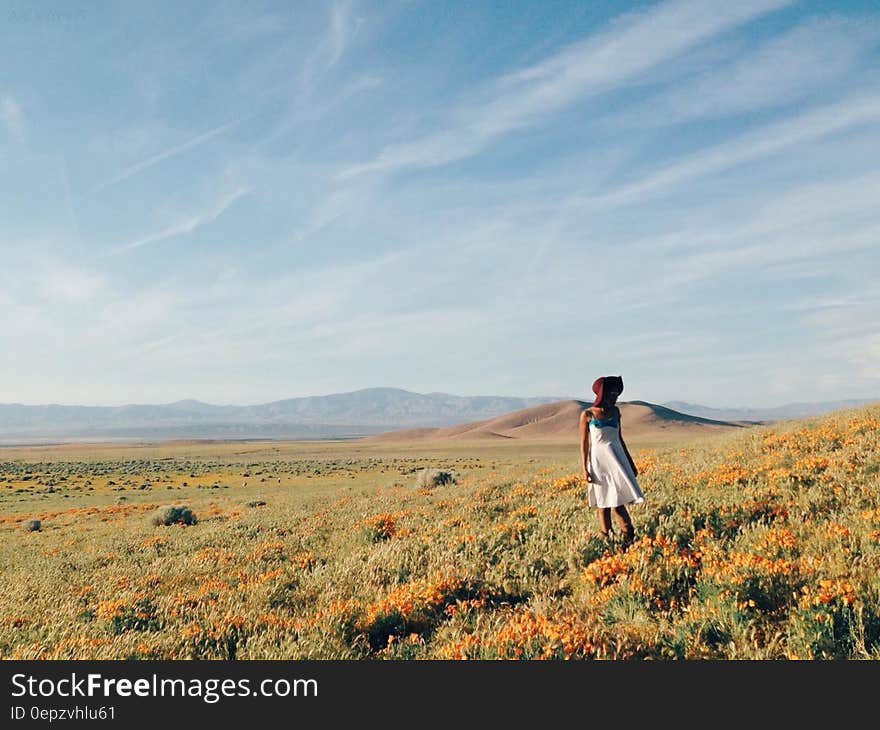 Woman in White Sundress Standing on Flower Field during Daytime