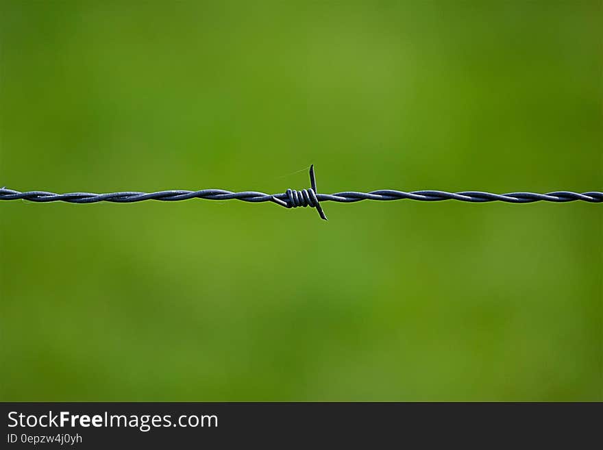 Barbed Wire Near on Green Surface