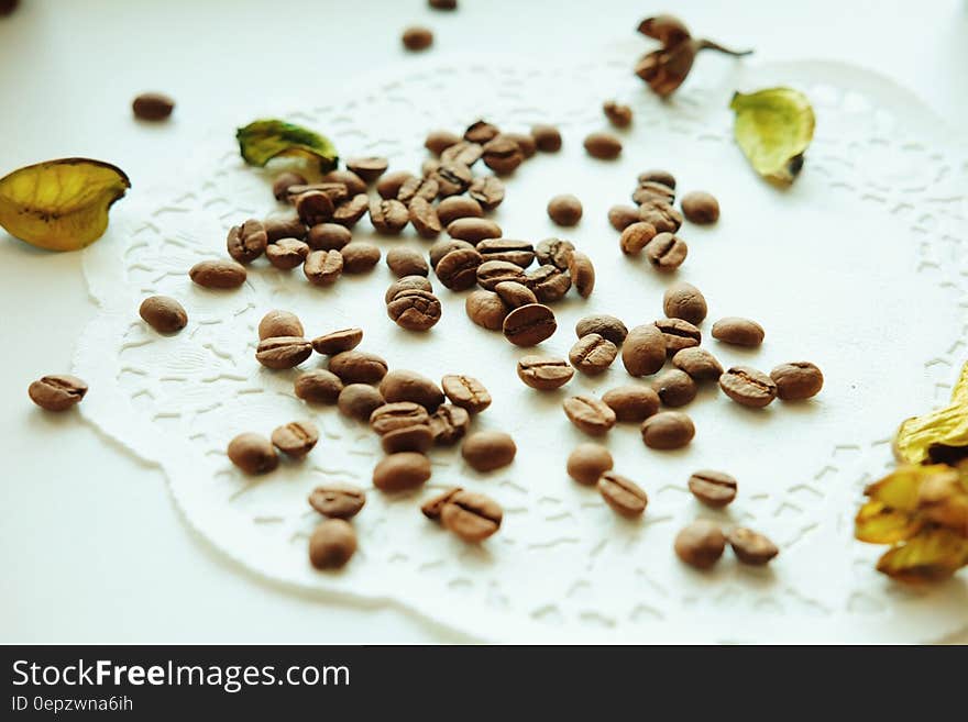 Brown Coffee Bean on White Surface