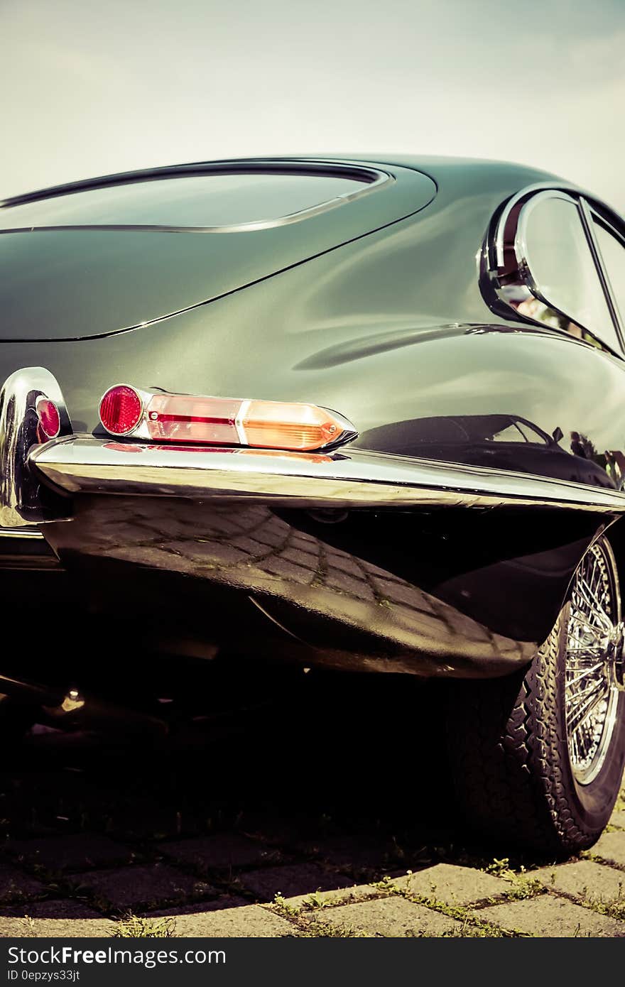 Back bumper and trunk of classic sports car on sunny day. Back bumper and trunk of classic sports car on sunny day.