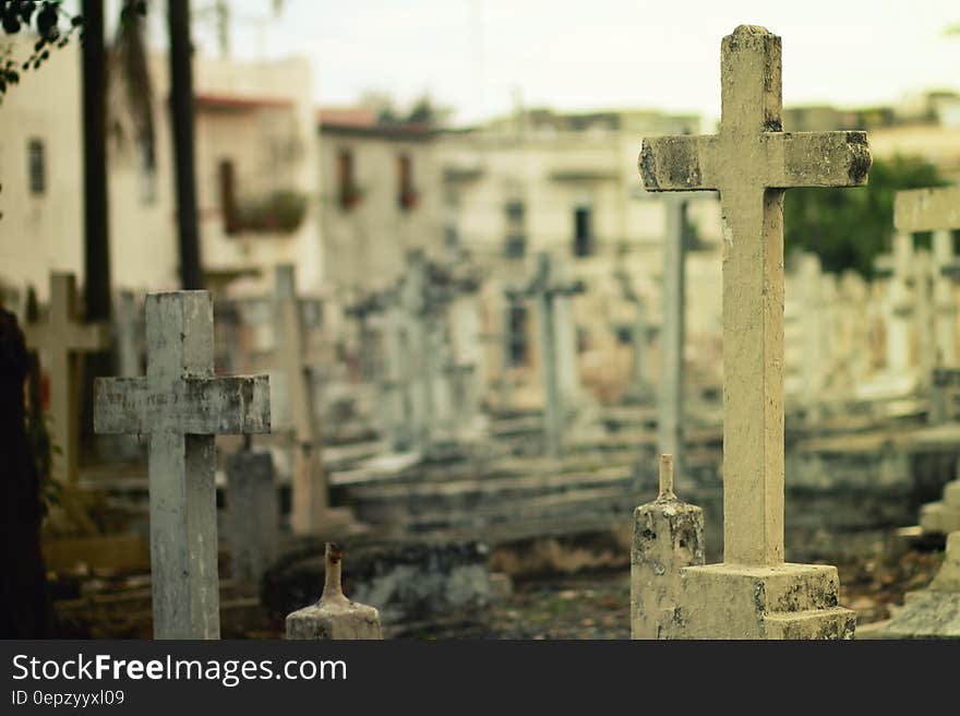 2 White Headstone Inside Cemetery during Daytime