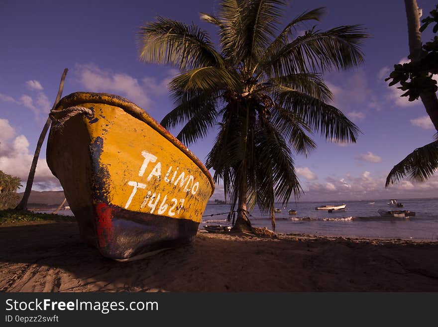 Brown and Black Boat on Shore Near Coconut Trees Under Blue Sky and Clouds