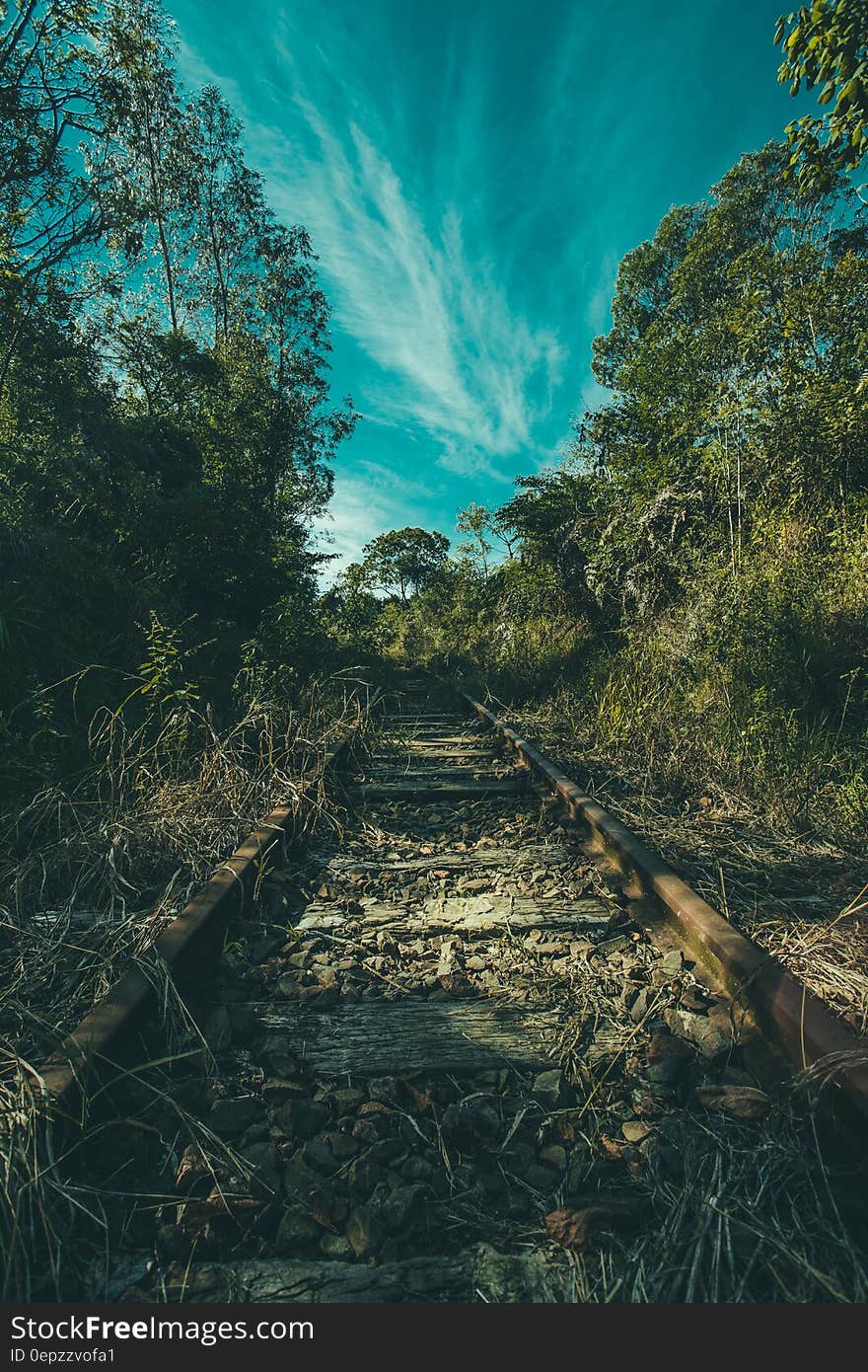 Brown Rail Way Near Green Trees Under Cloudy Blue Sky at Daytime