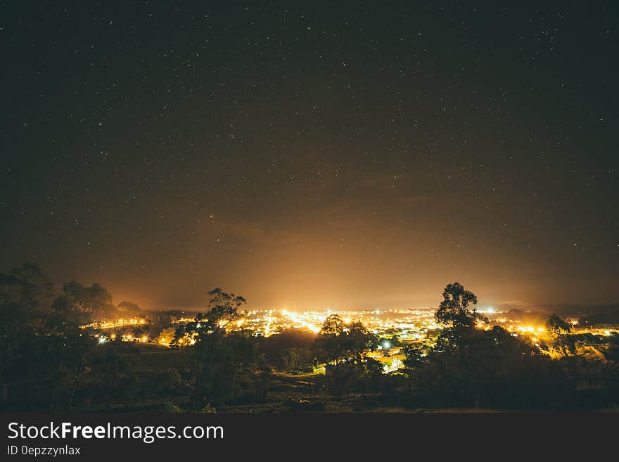 City Lights Surrounded by Trees during Nighttime