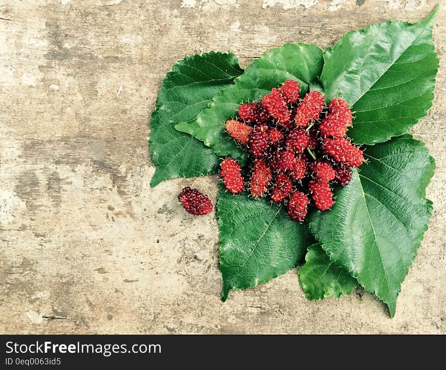 Red Fruit and Green Leaf