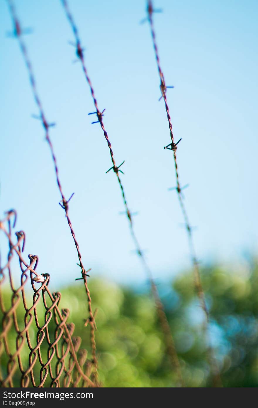 Brown Metal Bulb Wire during Daytime