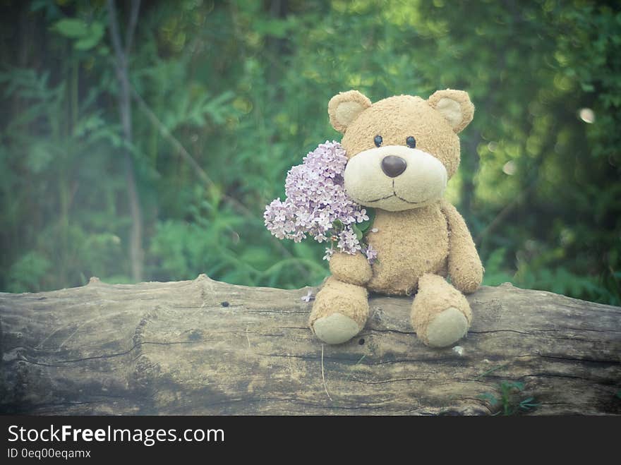 Brown Teddy Bear Holding Pink Flower Bouquet