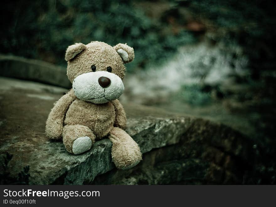 Brown Teddy Bear Sitting on Edge of Pavement