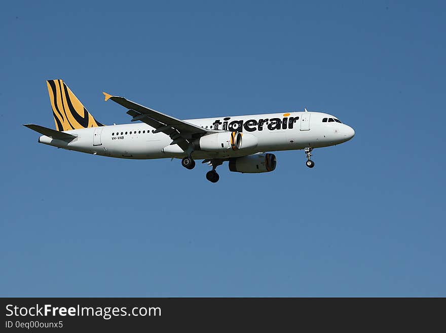 White and Yellow Tigerair Airplane