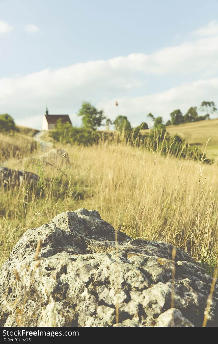 Grey Rock on Brown and Green Grassy Field during Daytime