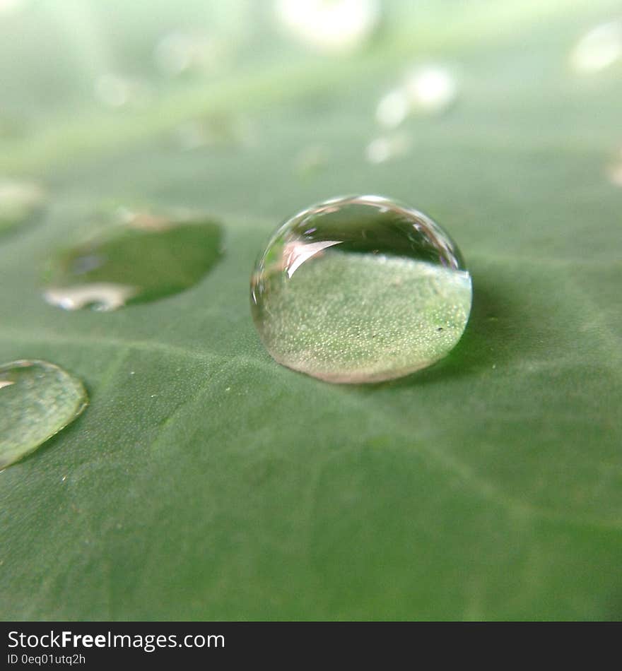 Close up of water droplets on green leaf. Close up of water droplets on green leaf.