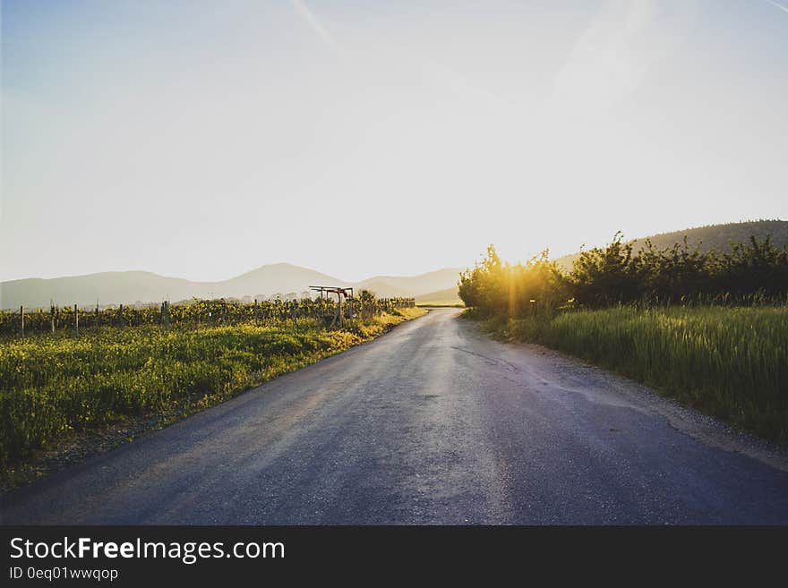 Empty country road through green meadows with setting sun.