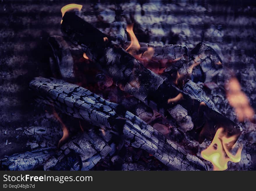 Logs and embers burning in bonfire. Logs and embers burning in bonfire.