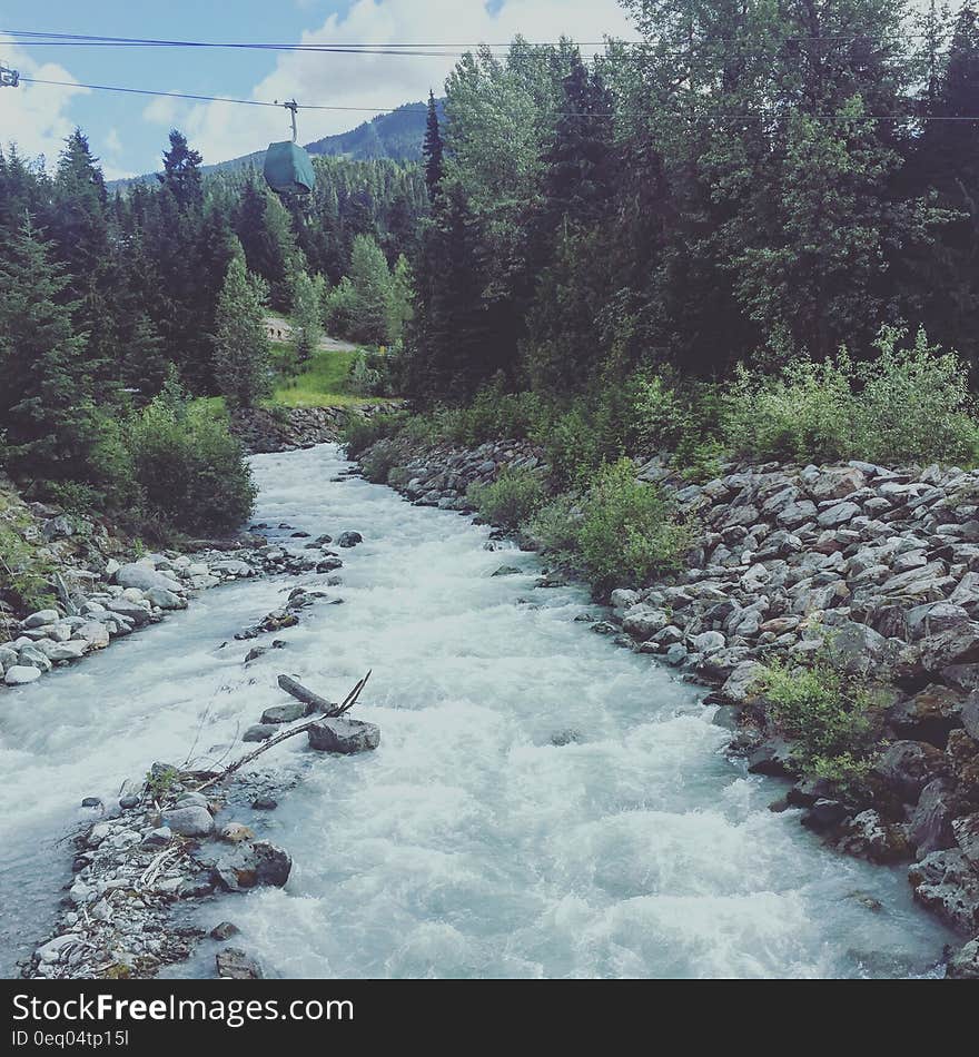 River Between of Grey Pebbles and Green Trees