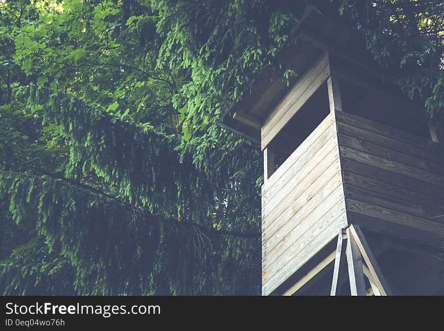 Brown Wooden House With Green Trees