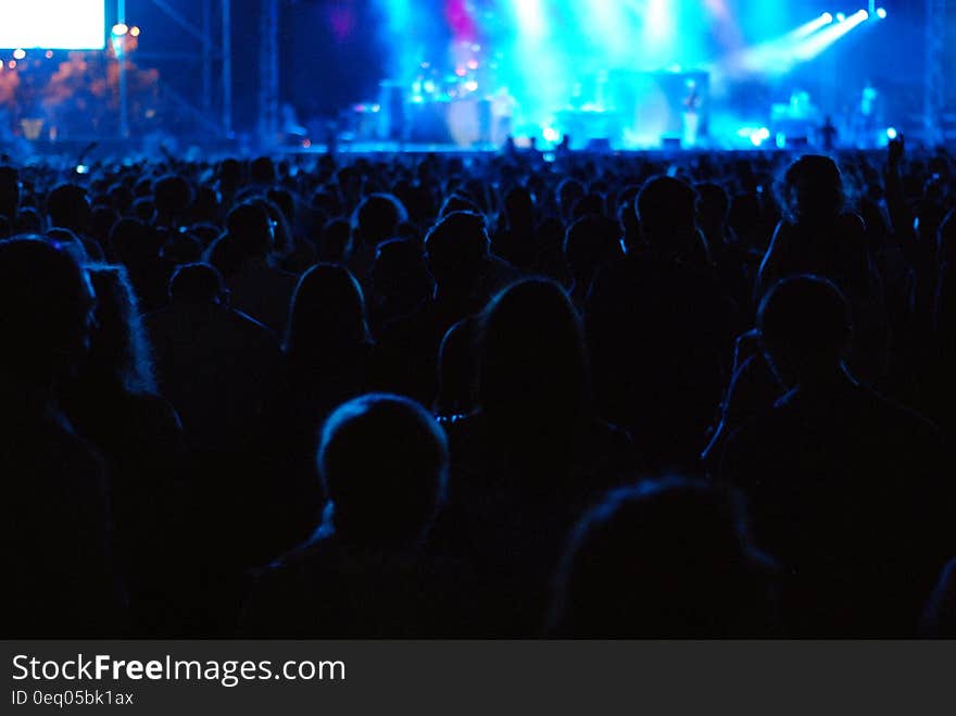 People Standing in Stadium While Watching the Concert