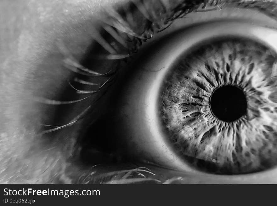 Grayscale Photo of Human Eye