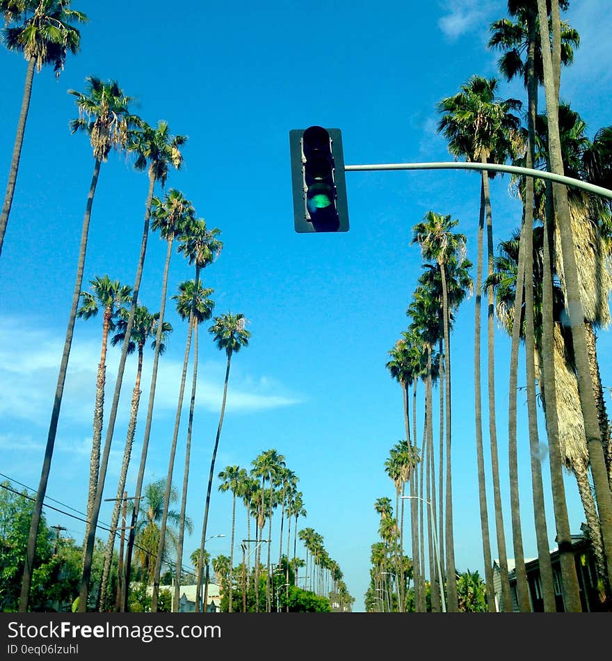 Traffic Light at Green