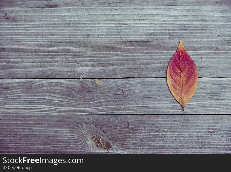 Orange and Red Leaf in Brown Wood Plank