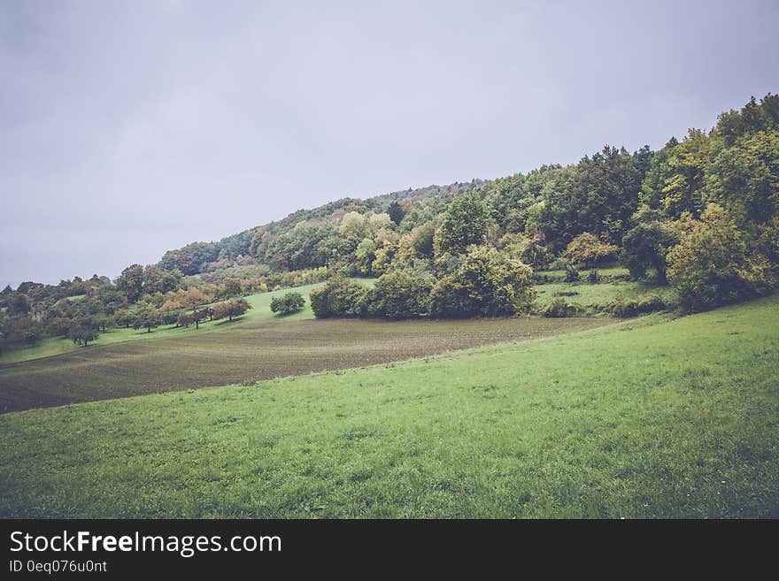 Green Grass Under Grey Clouds during Daytime