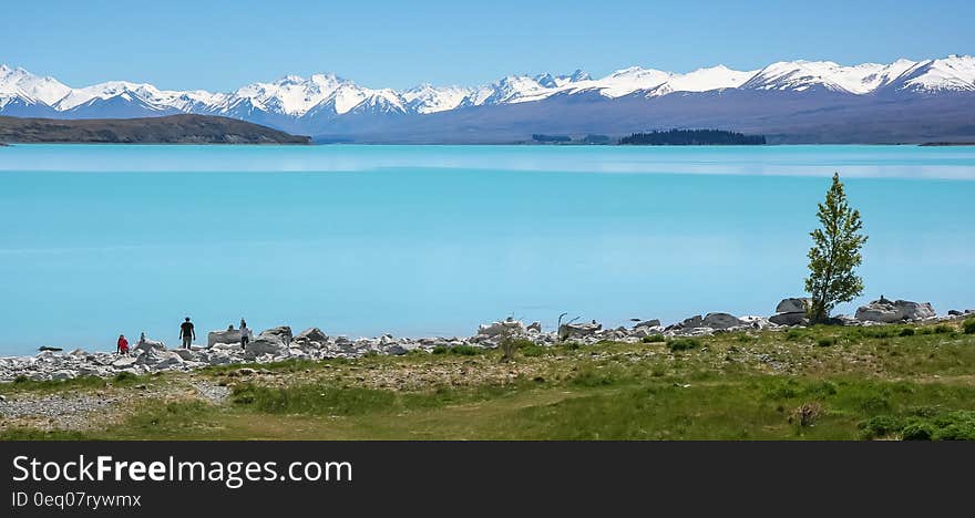 Green Land in Front of White Mountain