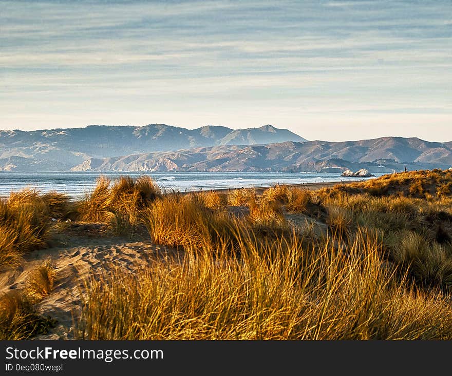 Brown Grass Near Mountains during Daytime