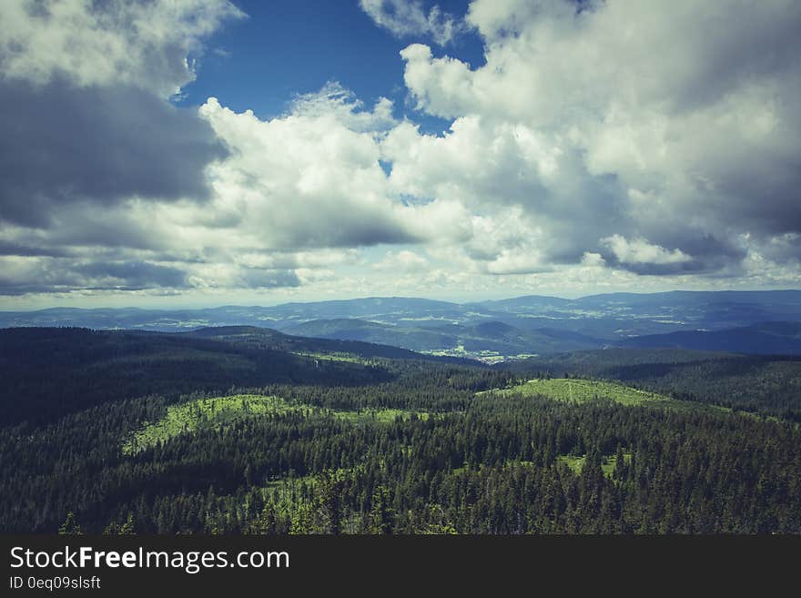 Green Forest Under Dark Cloudy Sky during Daytime