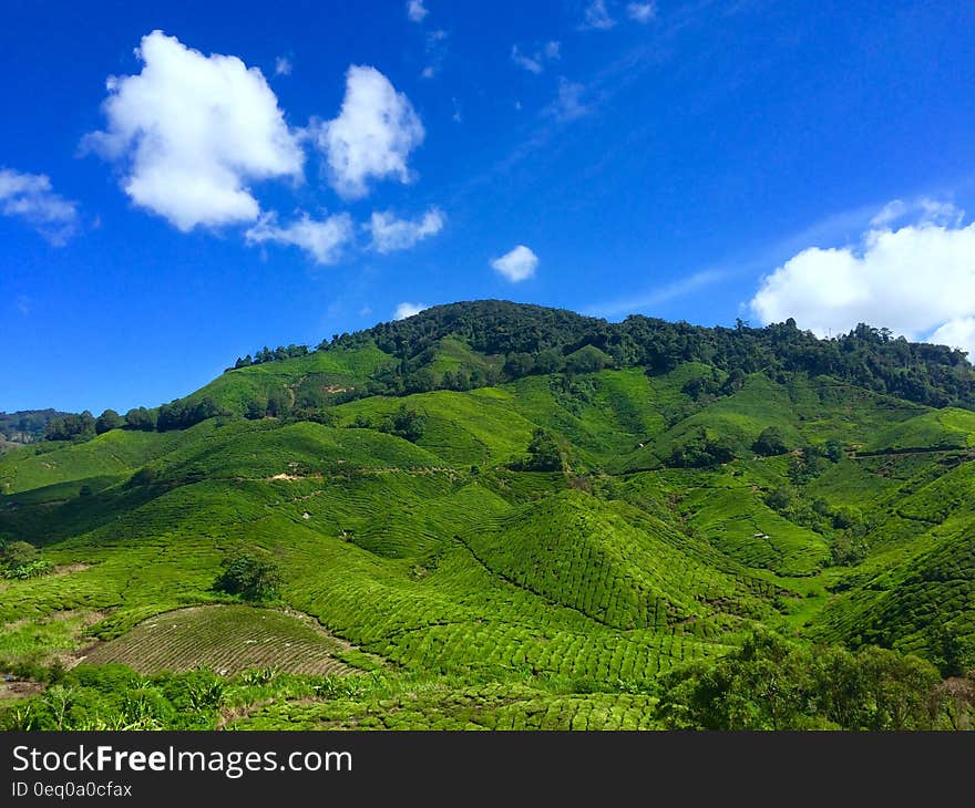 Landscape Photography of Green Hill Under Blue Sky and White Clouds during Daytime