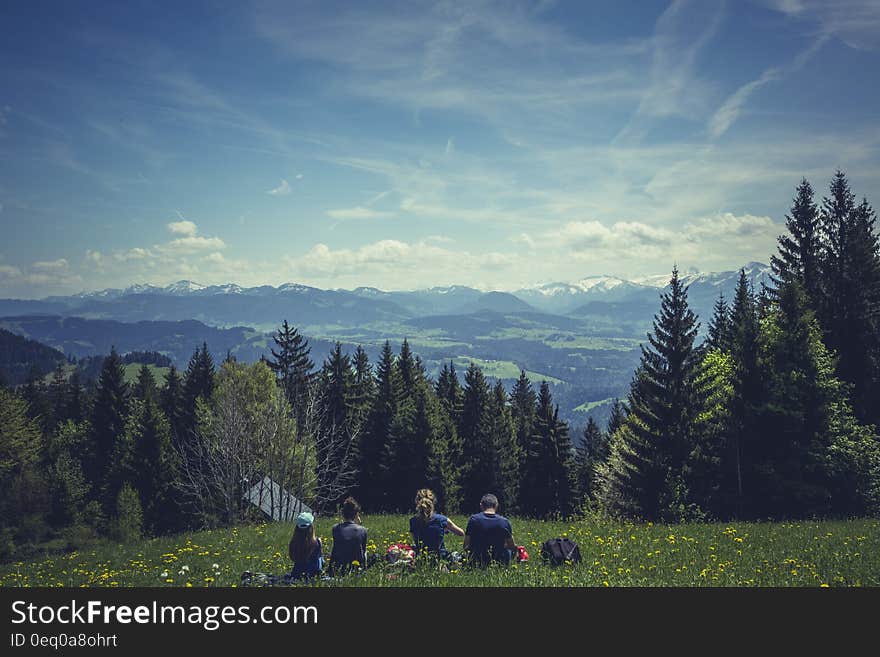 People Sitting on Green Grass